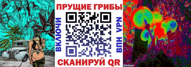Галлюциногенные грибы Cubensis  Купить  Горбатов 